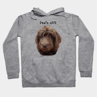 Doodle Dog Owner Hoodie